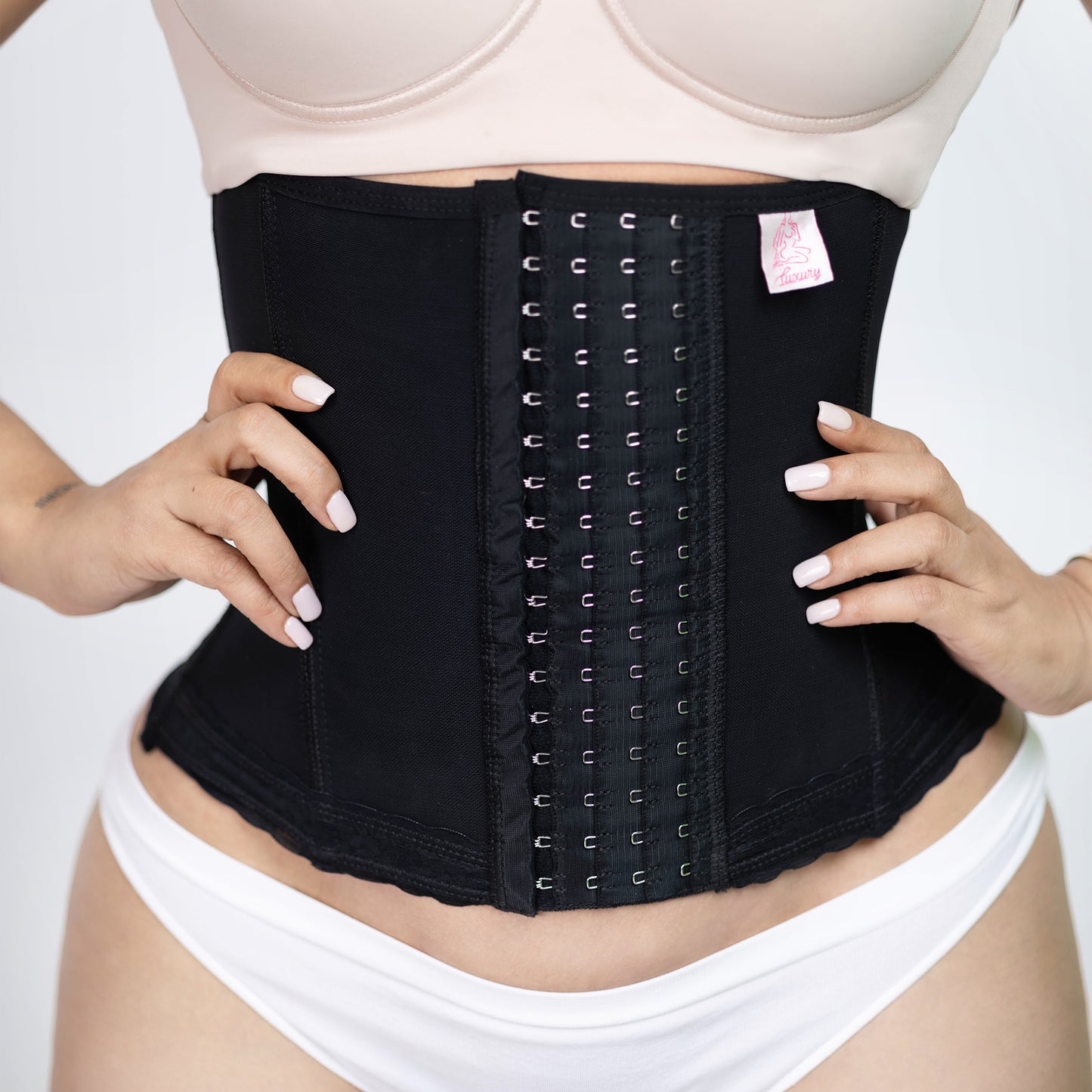 4201 Waistband | Torso-Long