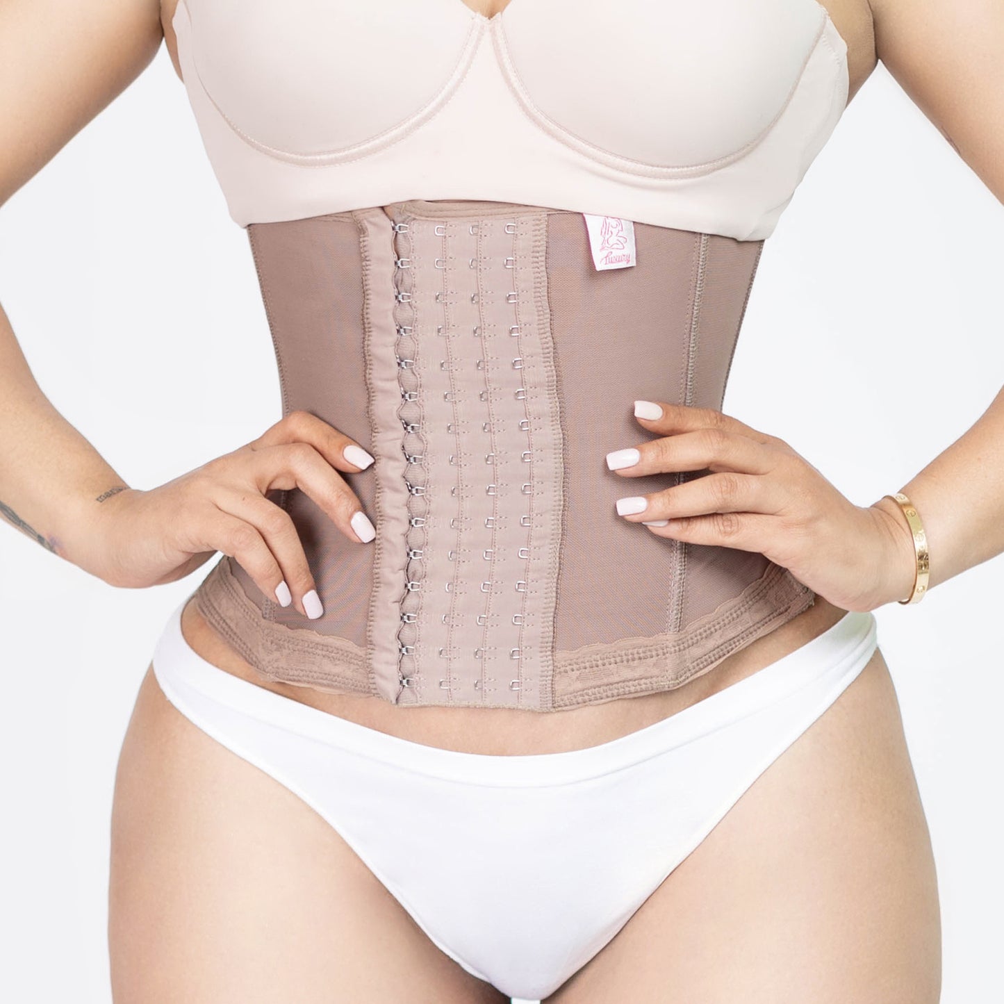 4201 Waistband | Torso-Long